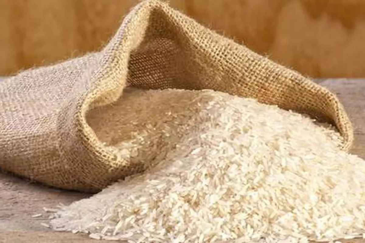 Rice export ban: बिगर बासमती तांदळाच्या निर्यातीवर सरकारनं घातली बंदी, काही अटींवरच परवानगी