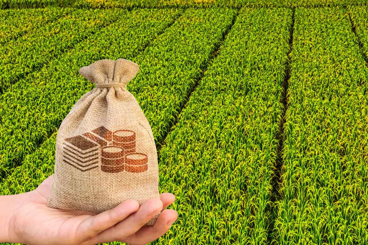 Tax on agriculture land