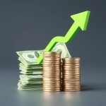 mutual fund