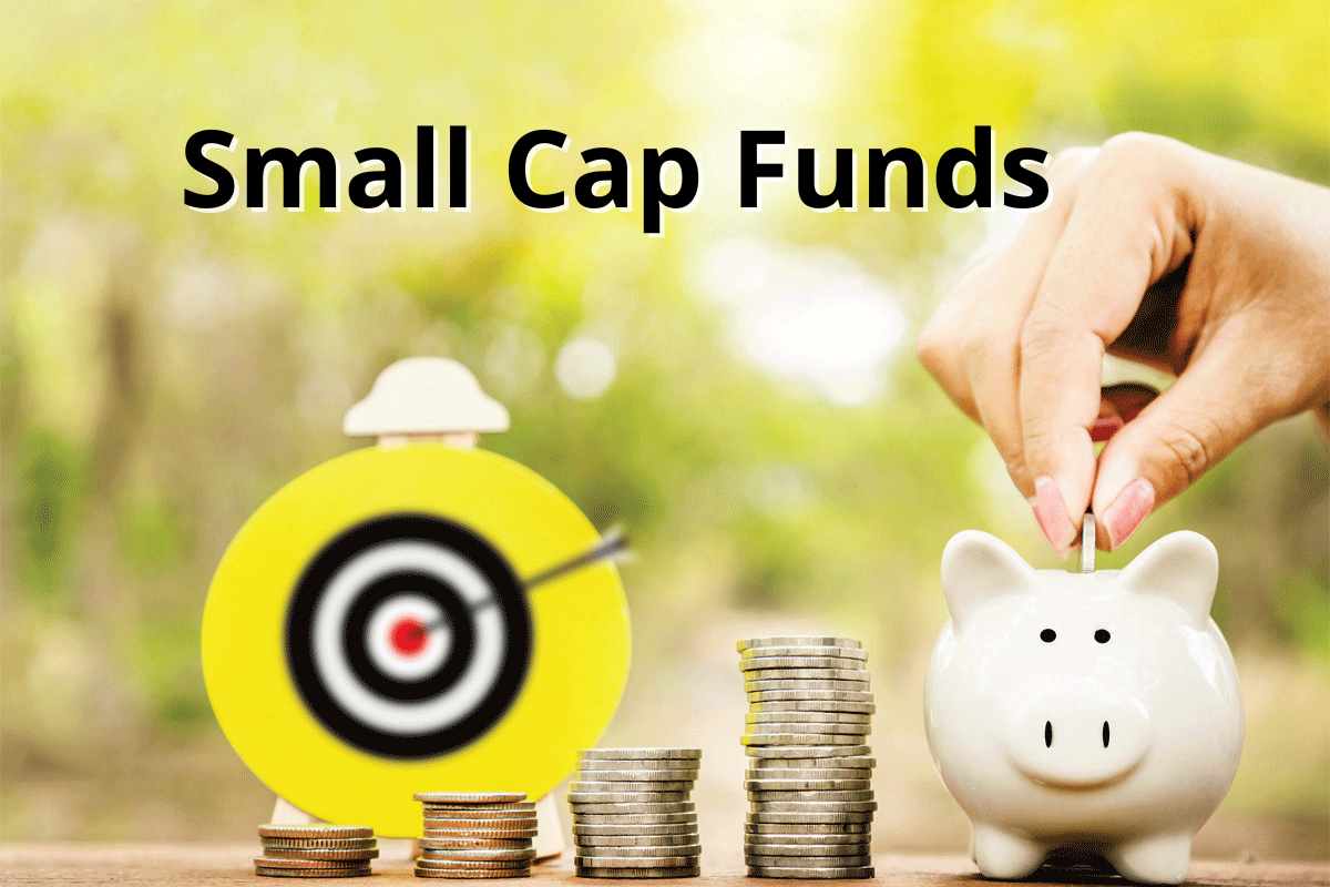 Small cap funds: कसा निवडावा शेअर बाजारावरही करेल मात असा स्मॉल कॅप फंड?