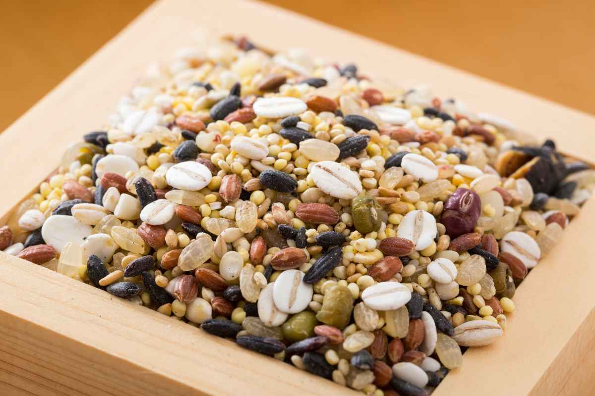 Price of Jowar Sharp Rise