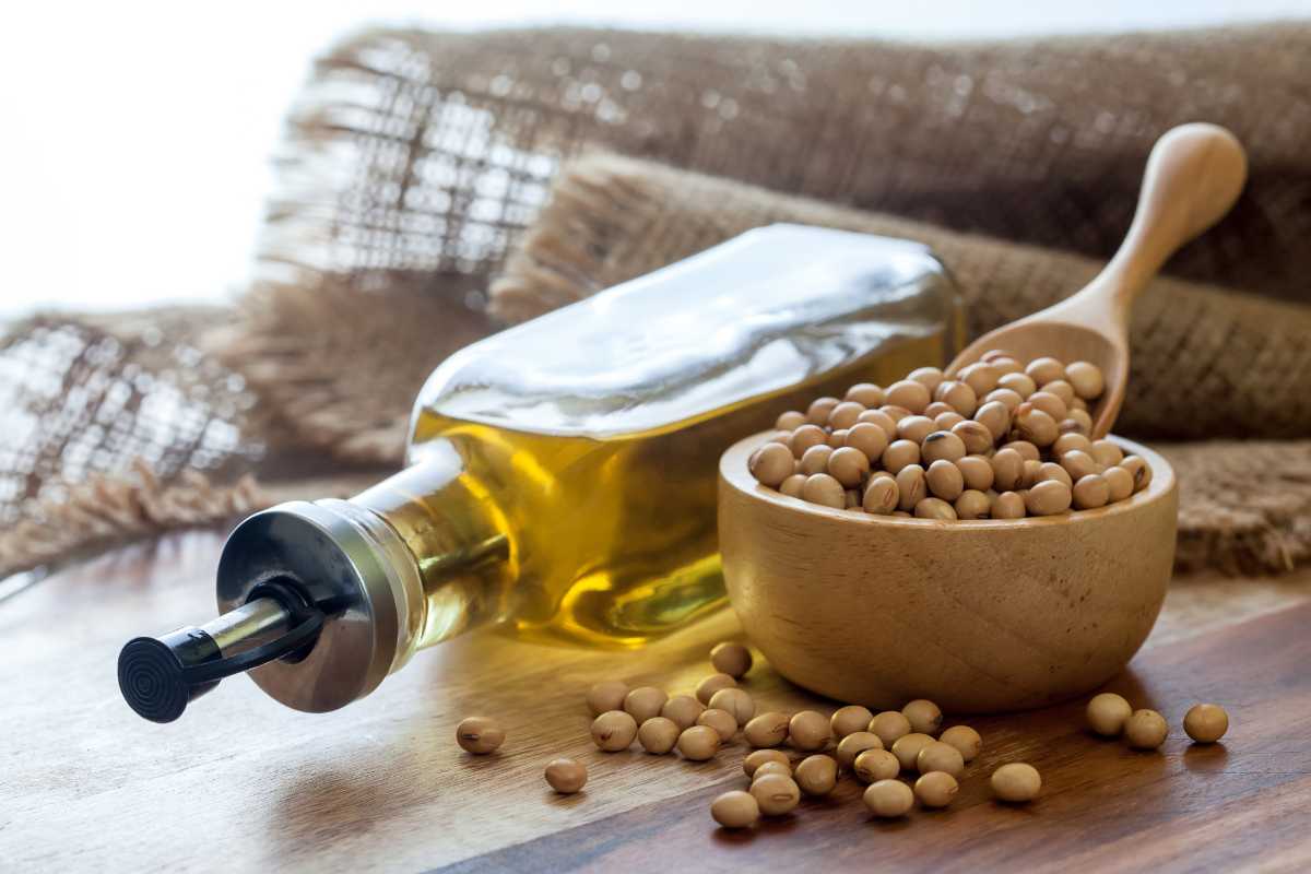 duty free soyabin oil import