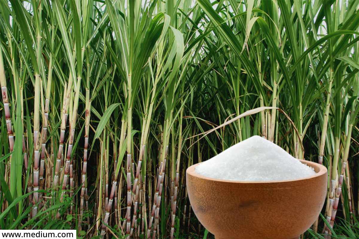 Sugar Price Hike