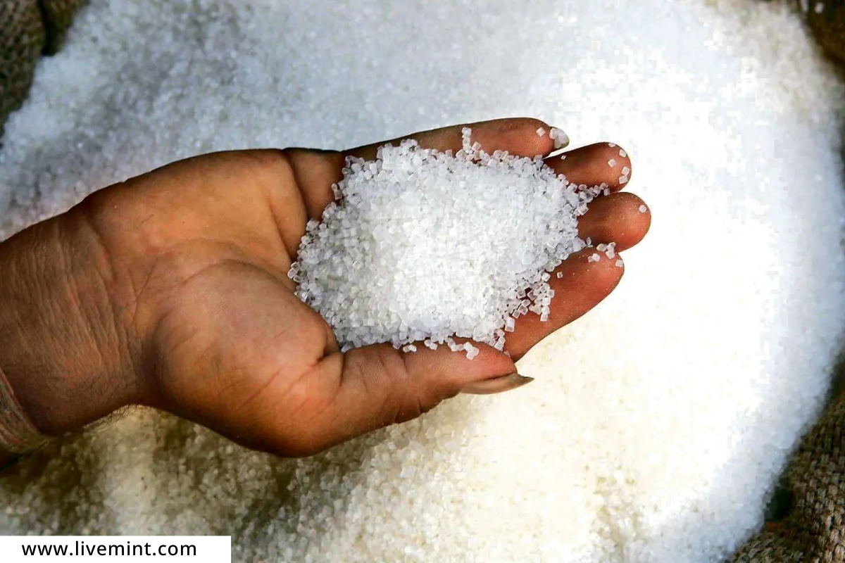 Sugar export ban 2023