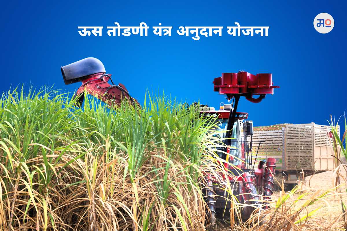 Sugarcane Cutting Machine