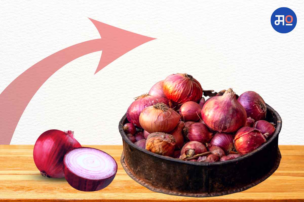 Onion