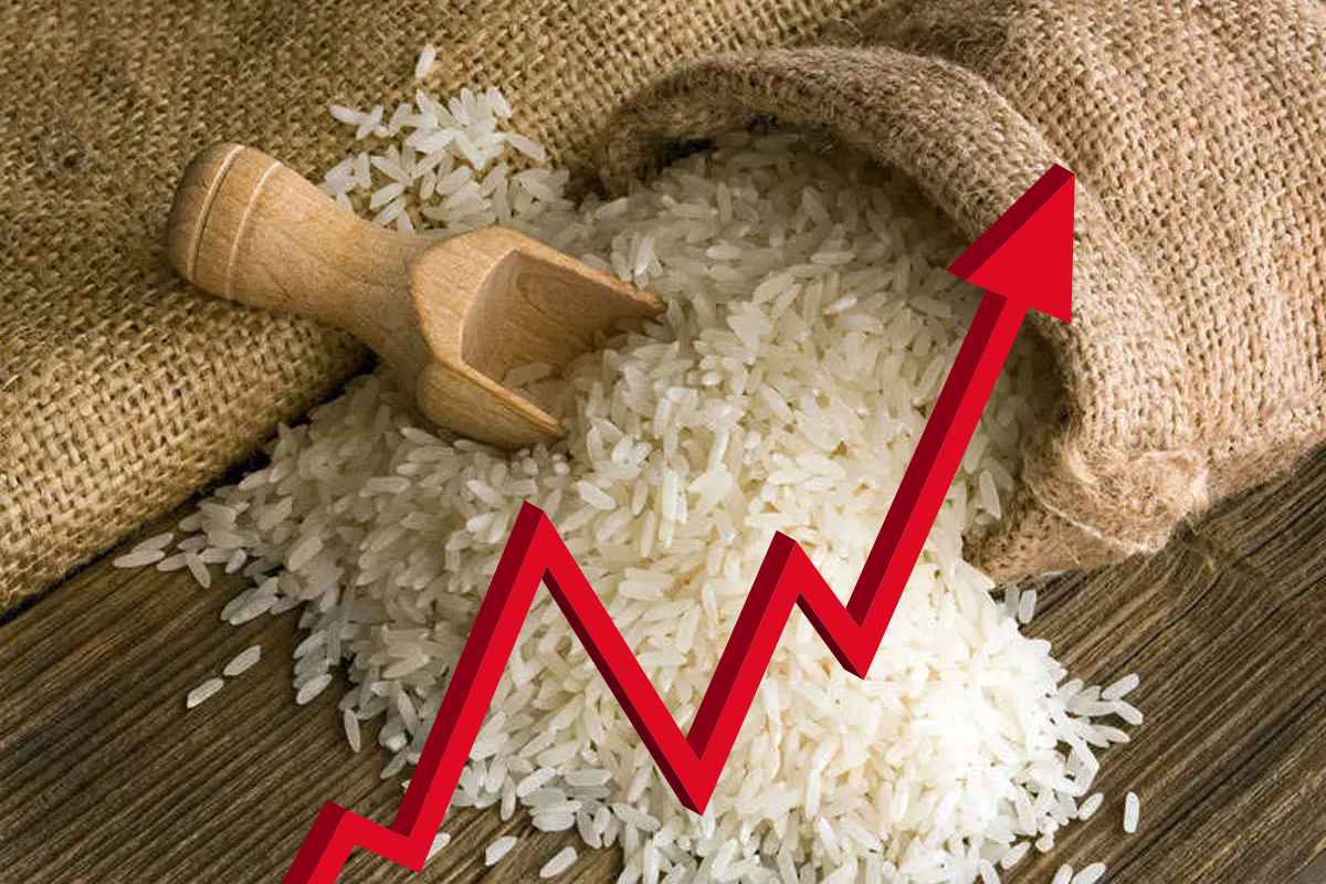 Rice Price