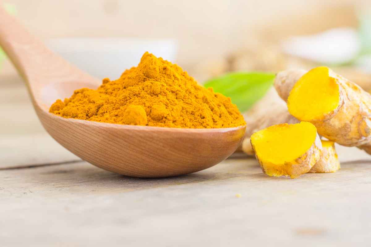 turmeric market prices
