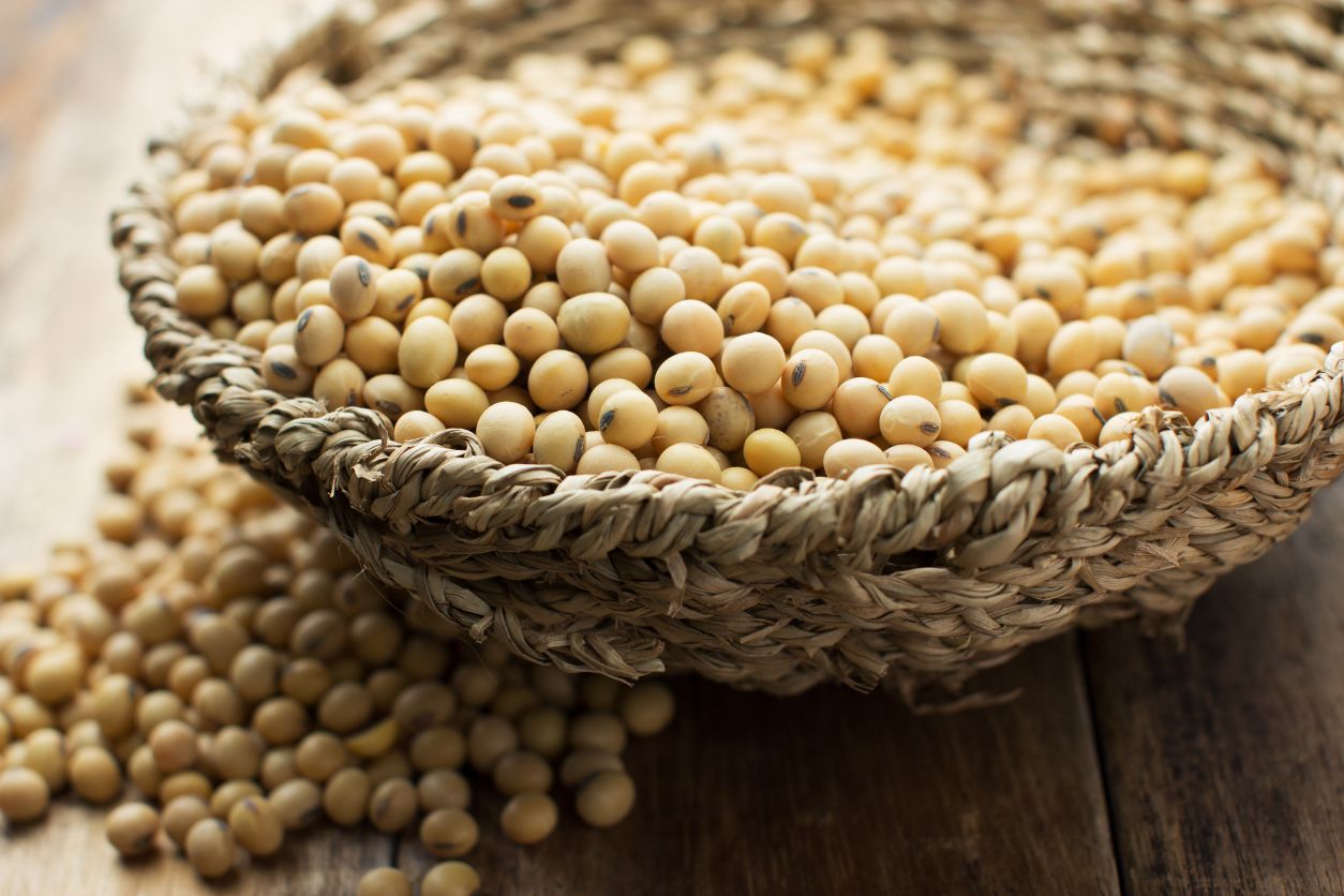 Soyabean Price Rise, Soyabean Oil