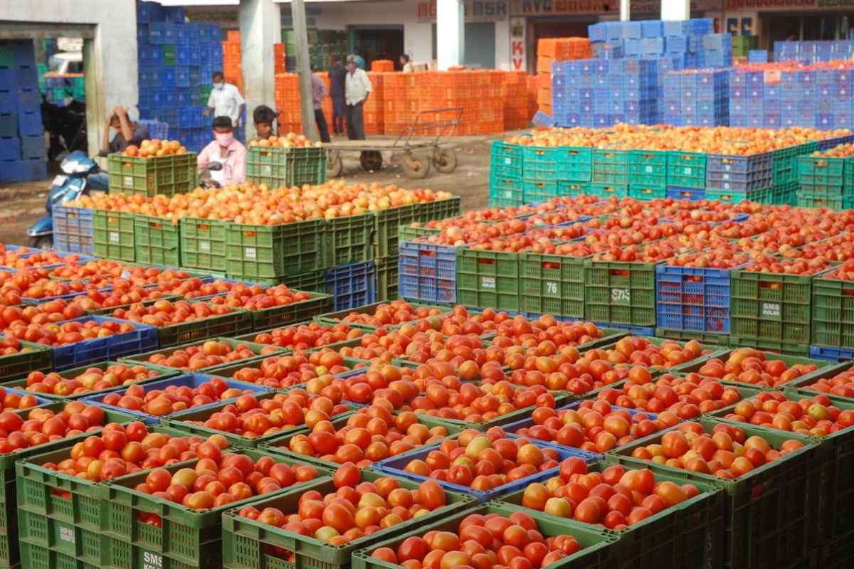 Tomato Price