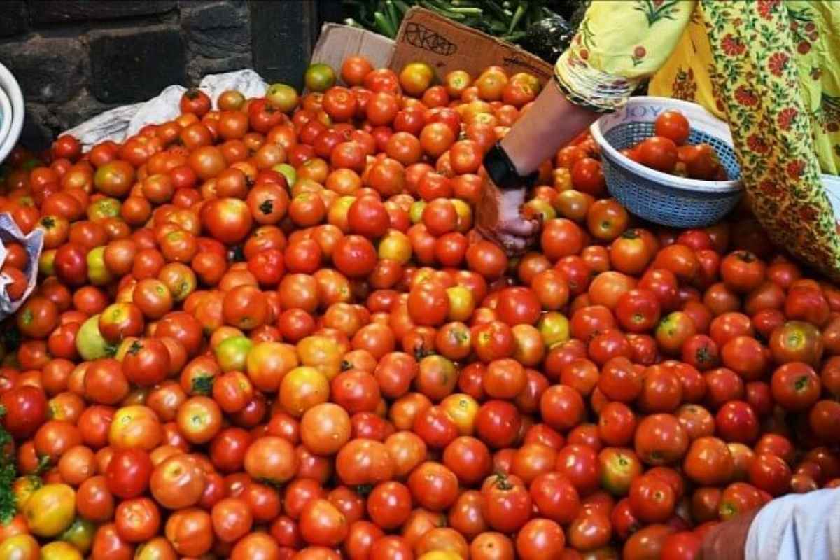 Tomato Price Hike