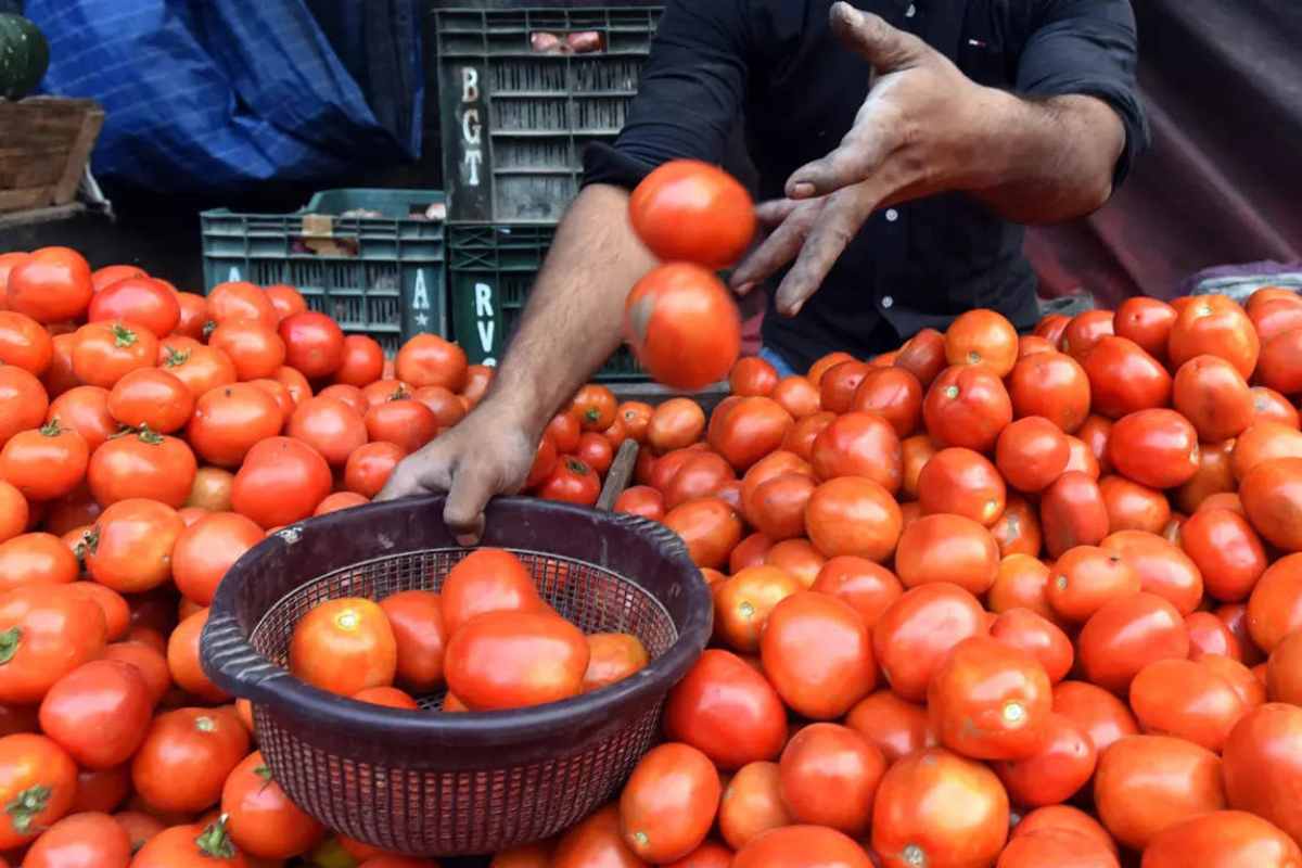 Tomato Price Hike