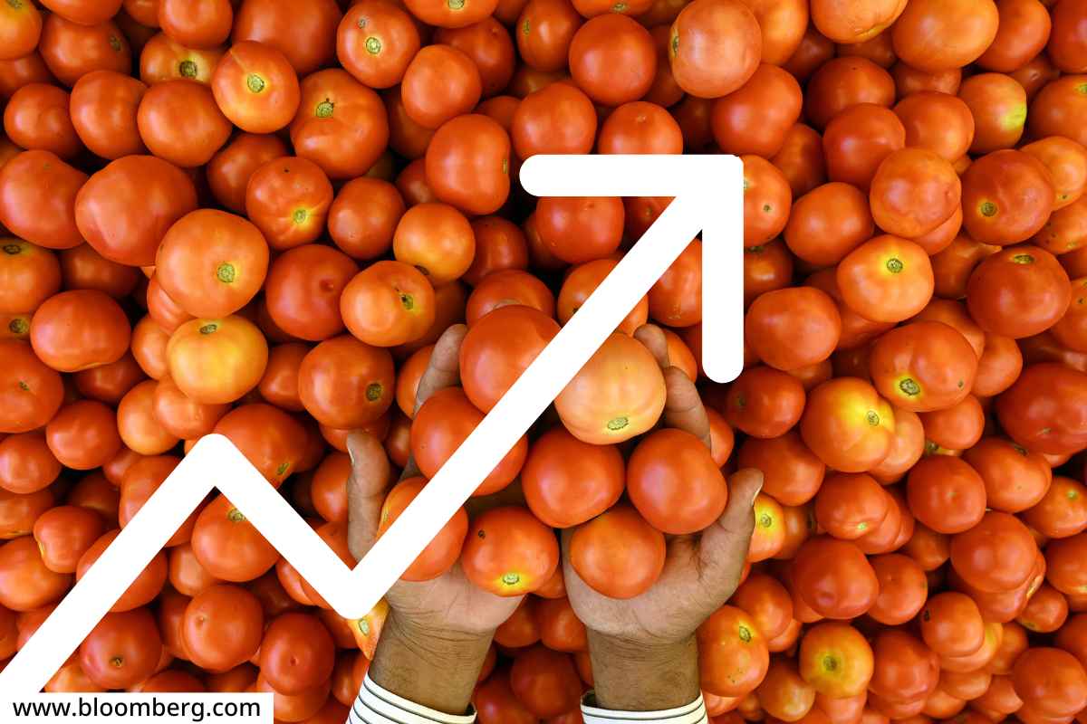 Tomato Price Hike