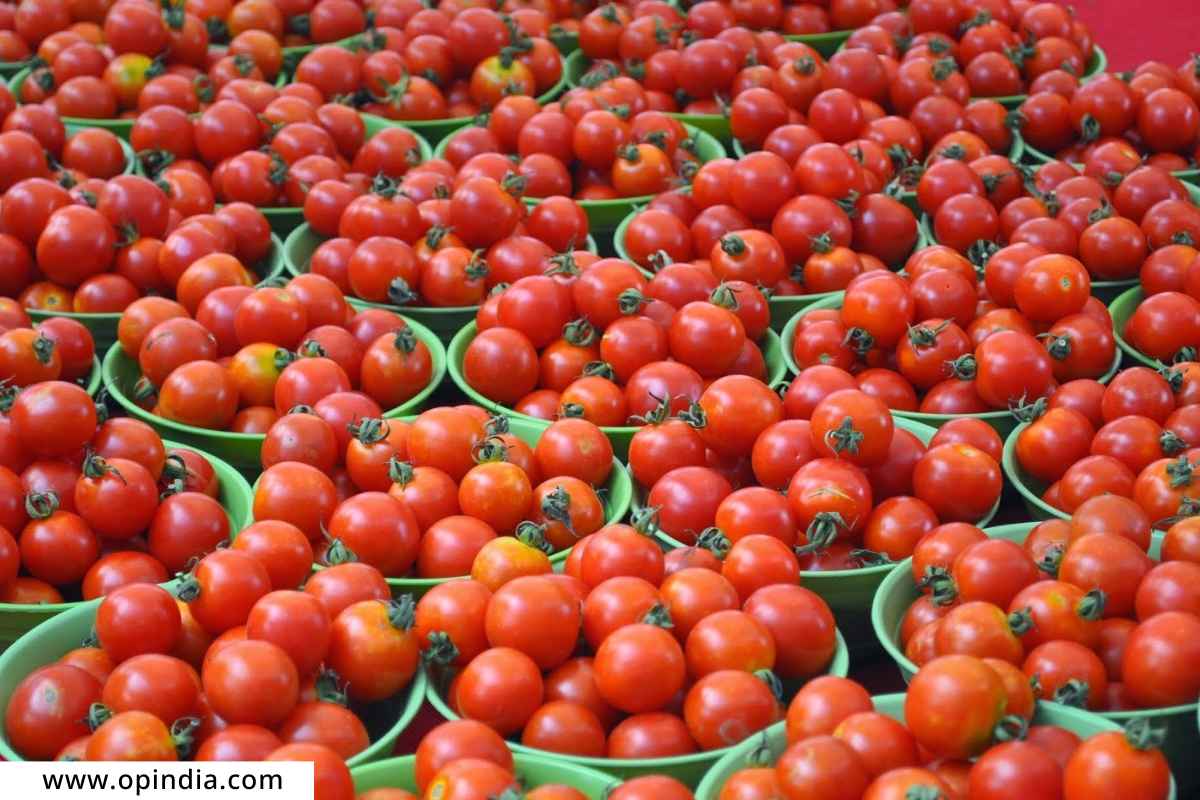 Tomato Price Hike