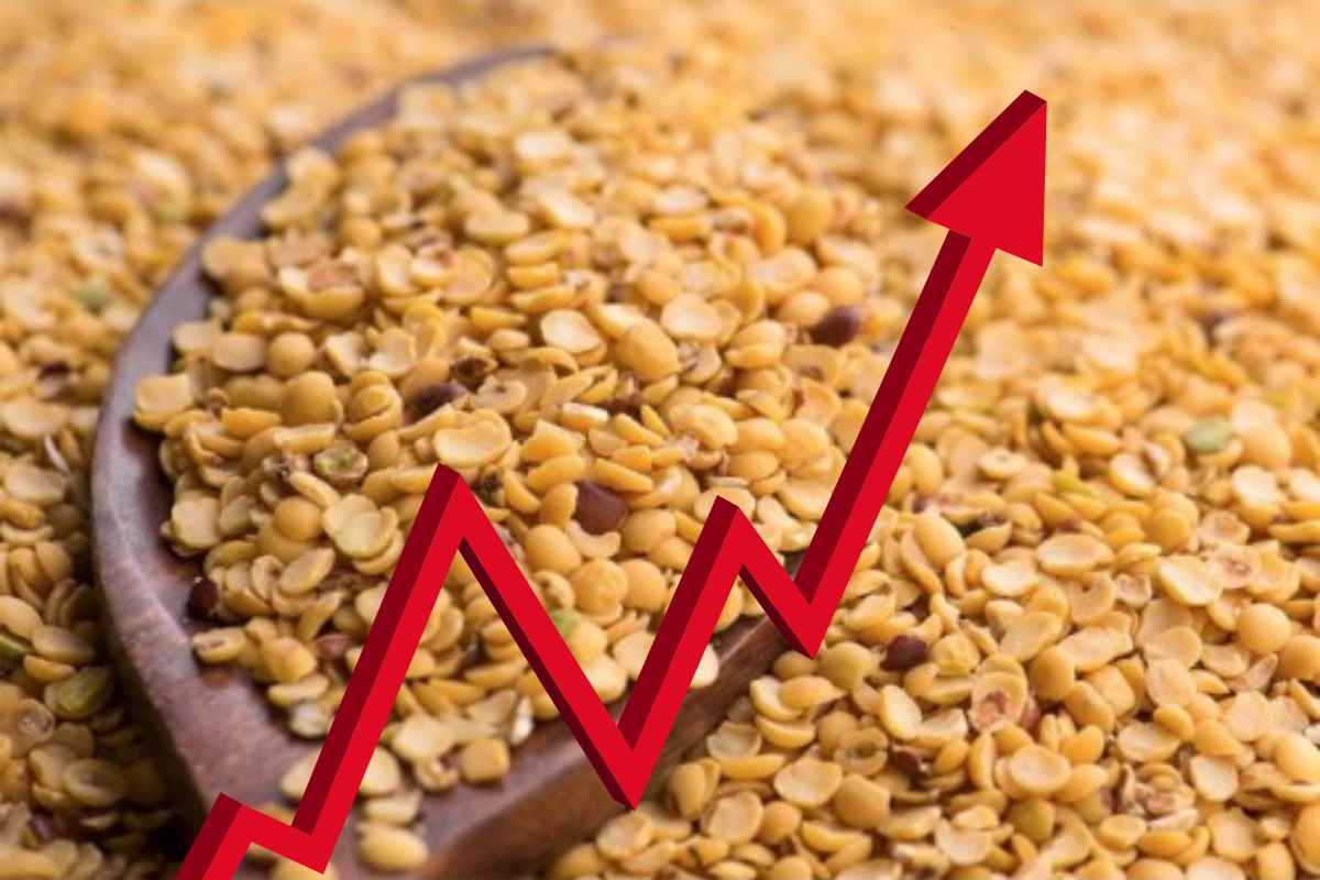 Toor Dal Price Hike