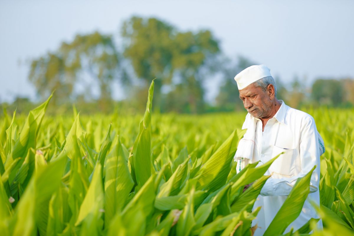 Scheme for Farmers by Government of India,PM Kisan Sanman Nidhi Yojana