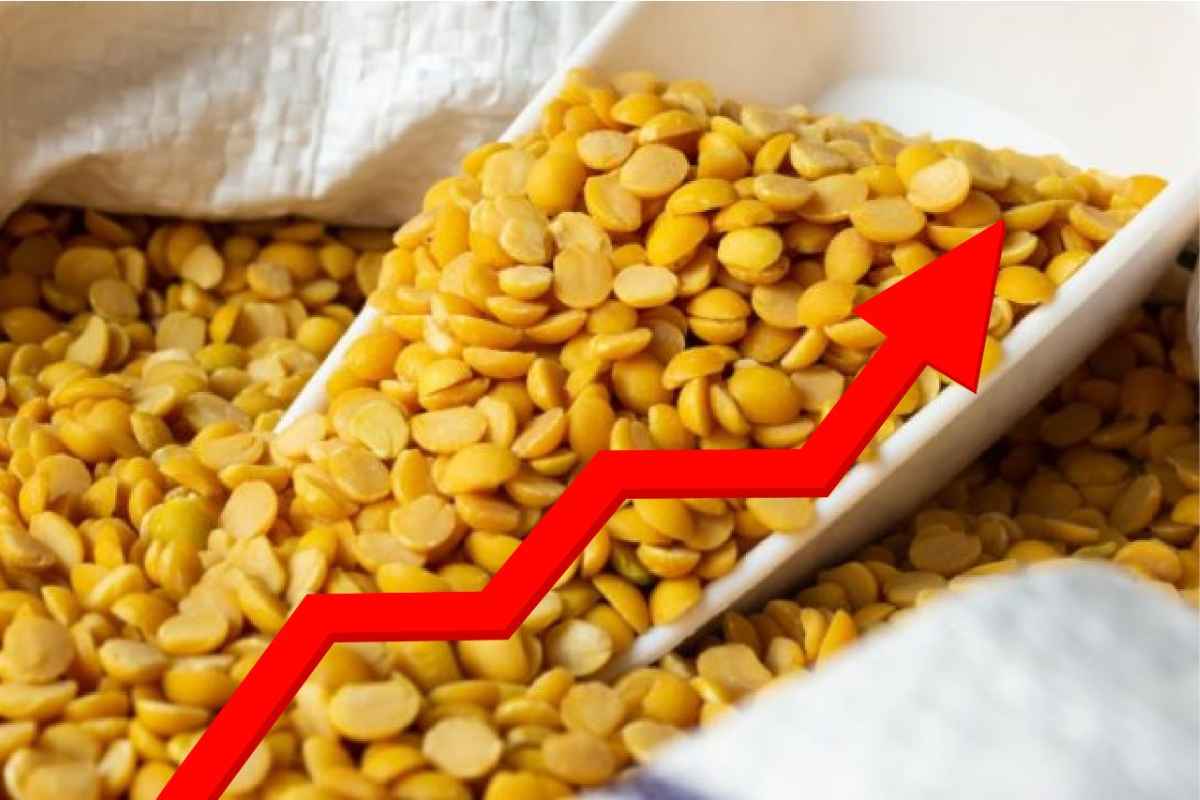 Tur Dal Price Hike