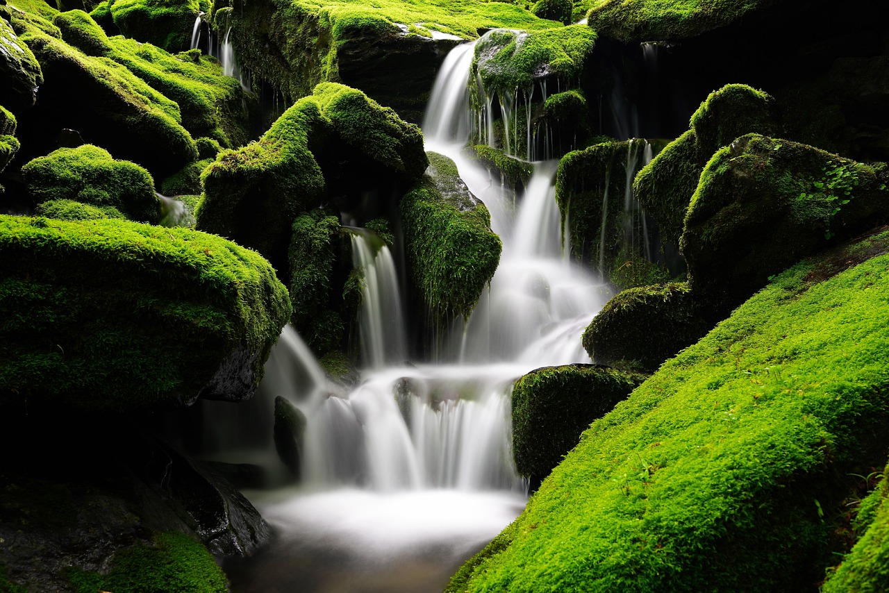 waterfall with moss