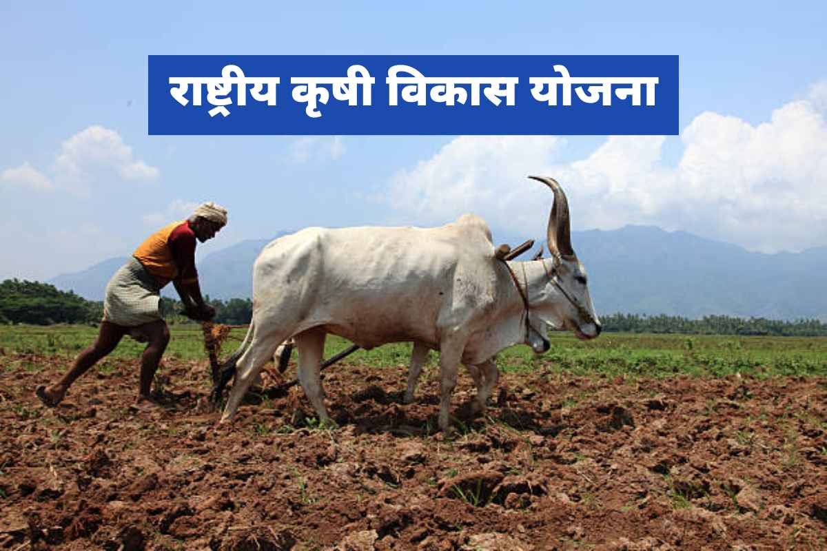 National Agricultural Development scheme