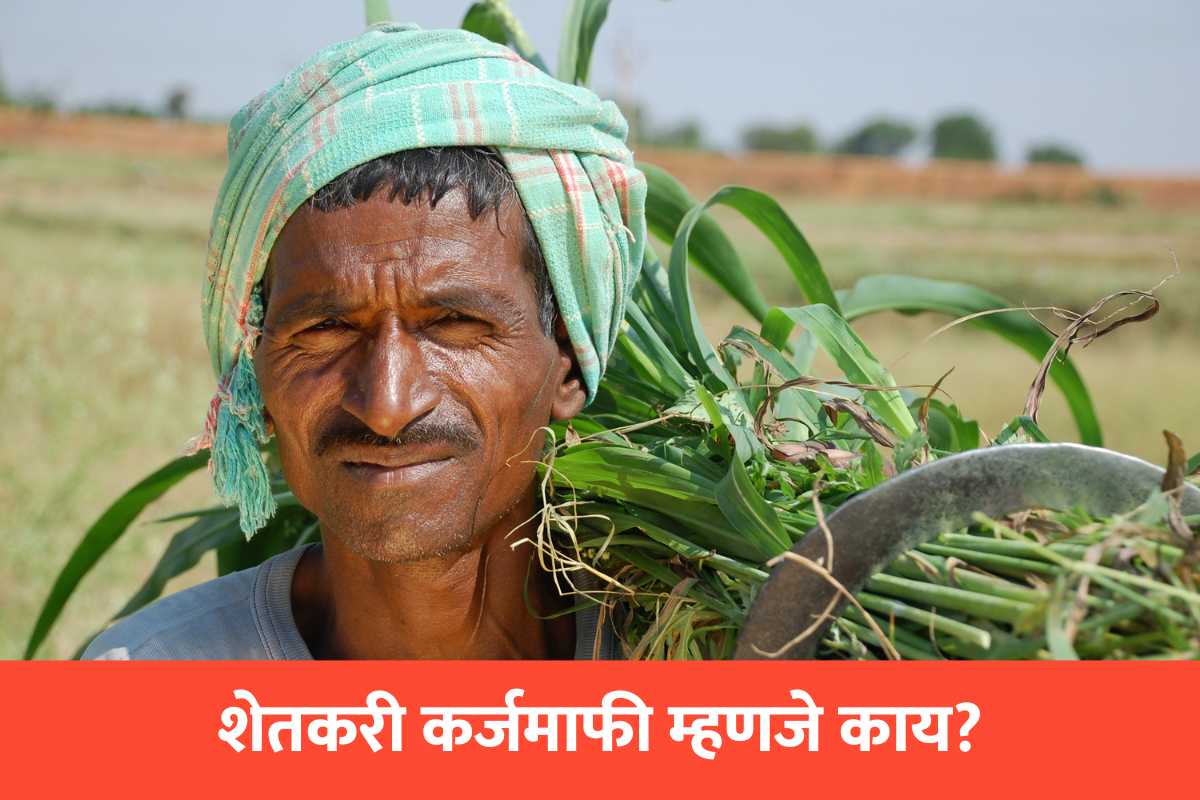What is farmer loan waiver?, Farm Loan, Farmer's in India, Crop Loan