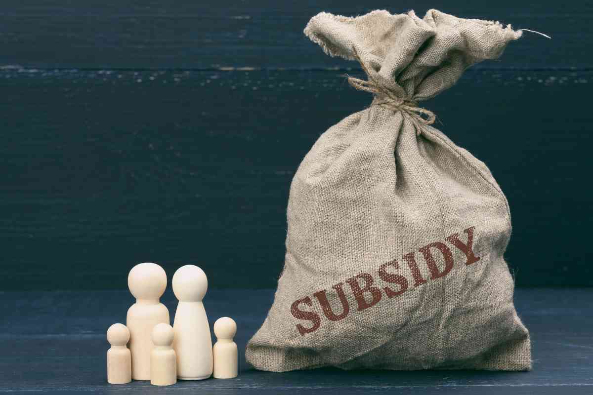 Subsidy