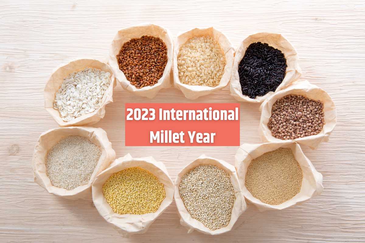 2023 International Millet Year