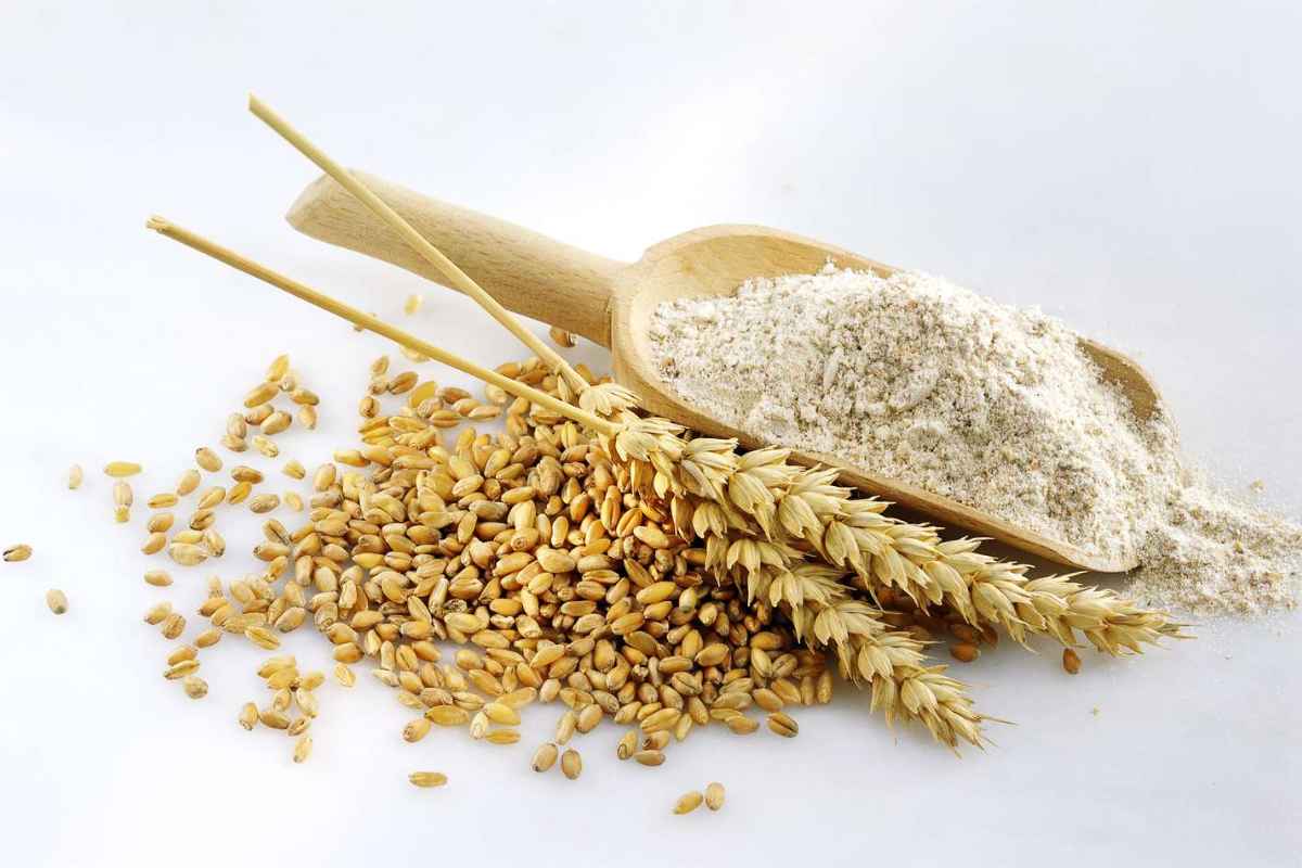 Wheat and Atta Price: ग्राहकांना दिलासा! गहू, आट्याचे भाव कमी होणार, लवकरच केंद्र सरकारकडून उपाययोजना