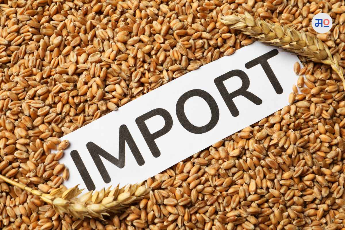 Wheat import