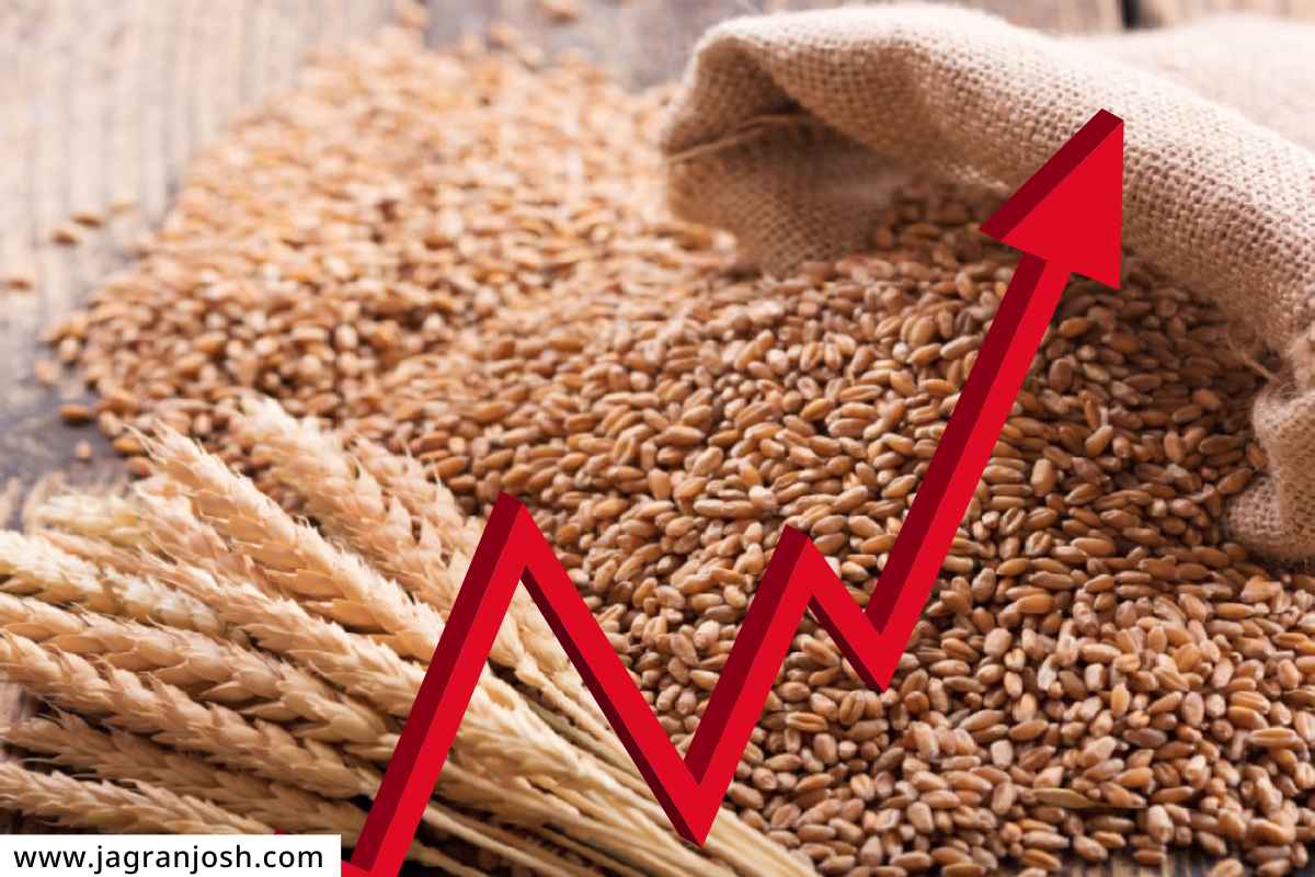 Wheat Price Rise
