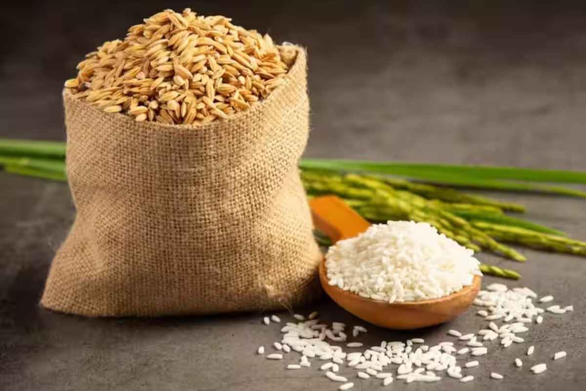Wheat & Rice E-Auction : किंमत नियंत्रणासाठी FCI करणार गहू आणि तांदळाचा ई-लिलाव